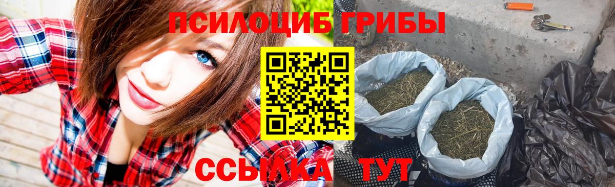 Псилоцибиновые грибы ЛСД Сальск